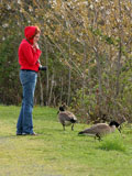 Alyssa with Canada Geese